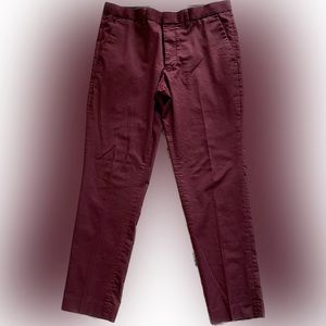 Express Dress Pants Extra Slim